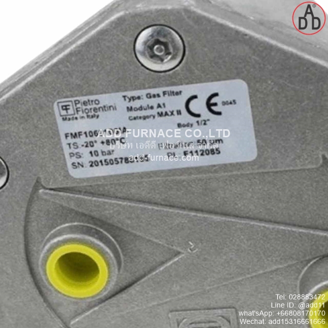 Pietro Fiorentini Gas Filter FMF1060100IA (3)